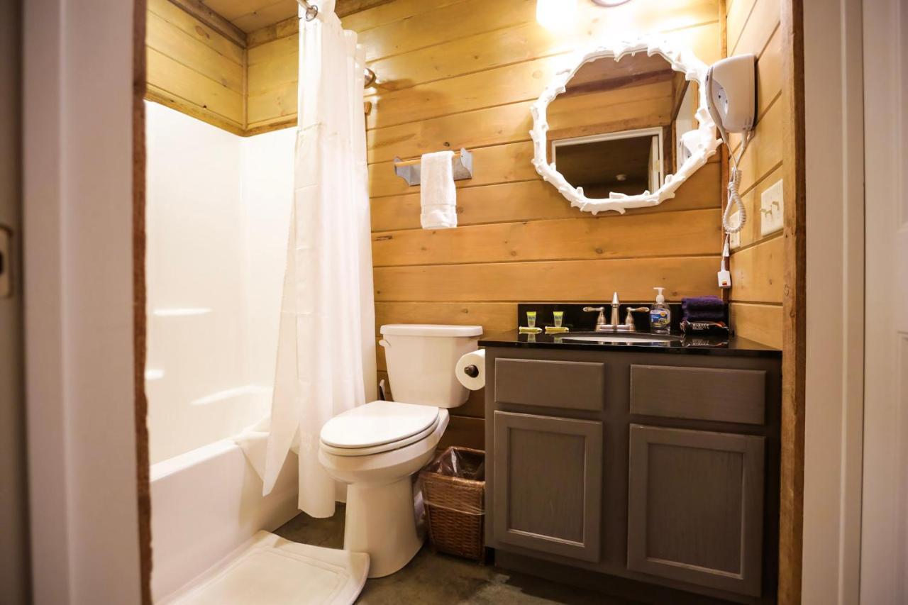 Knotty Squirrel Cabins 마운틴 뷰 외부 사진