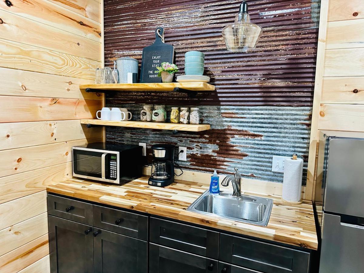 Knotty Squirrel Cabins 마운틴 뷰 외부 사진