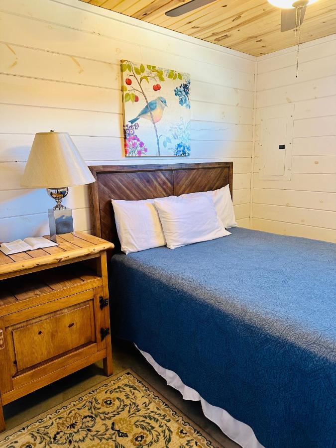 Knotty Squirrel Cabins 마운틴 뷰 외부 사진